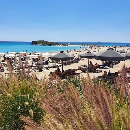 Narcissos 'nissi Beach' C12 *