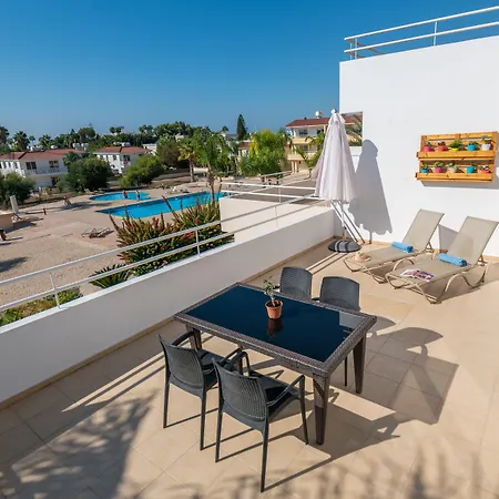 Narcissos 'nissi Beach' C12