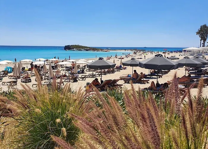 Narcissos 'nissi Beach' C12 *