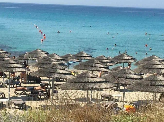 Narcissos 'nissi Beach' C12 Lejlighed Ayia Napa