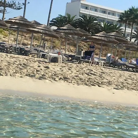 Narcissos 'nissi Beach' C12 *